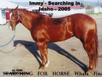 SEARCHING FOR HORSE Whata Final Image, Near Oreana, ID, 00000